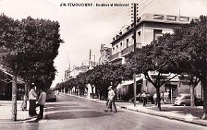 429- Ain-Temouchent - Bd National